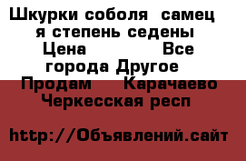 Шкурки соболя (самец) 1-я степень седены › Цена ­ 12 000 - Все города Другое » Продам   . Карачаево-Черкесская респ.